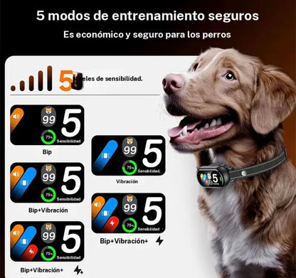 Collar Antiladridos Inteligente para Perros – Educación Suave y Efectiva